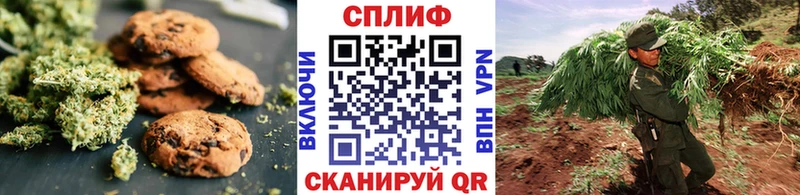 Canna-Cookies конопля Кущёвская