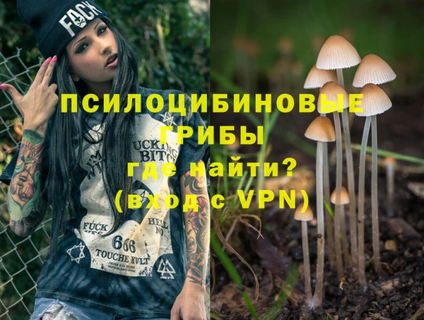 кристаллы Ельня