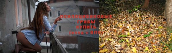дистиллят марихуана Баксан