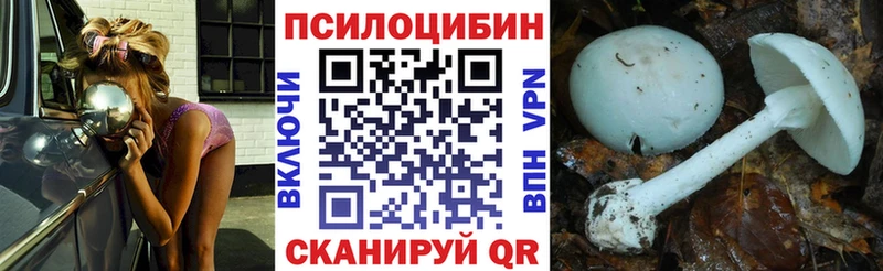 купить наркотики сайты  дарк нет какой сайт  Псилоцибиновые грибы прущие грибы  Кущёвская 